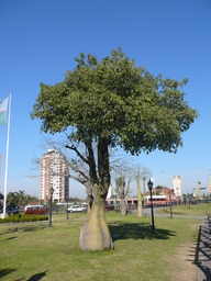 P1020834.JPG