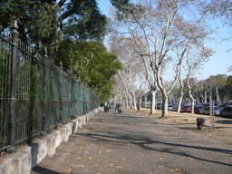 P1030193.JPG