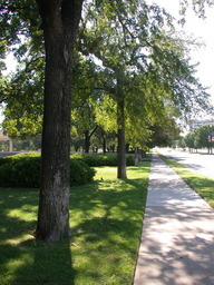 dscn3073.jpg