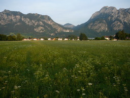 Album: Neuschwanstein