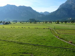 P1010884.JPG