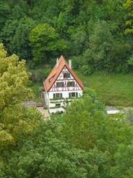 P1010811.JPG
