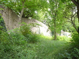 P1010827.JPG