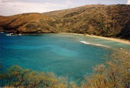 Hanauma1.jpg