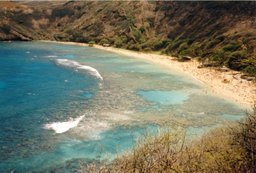 Hanauma2.jpg