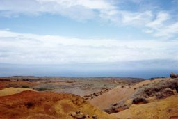 LanaiLandscape1.jpg