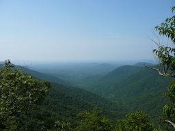 P1000419.JPG