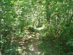 P1000421.JPG