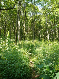 P1000425.JPG