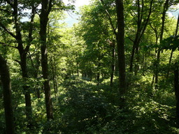 P1000427.JPG