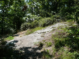 P1000428.JPG