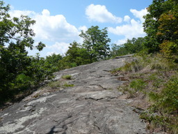P1000429.JPG