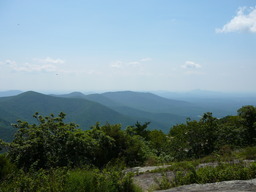 P1000430.JPG