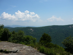 P1000433.JPG