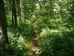 P1000440.JPG