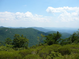 P1000447.JPG