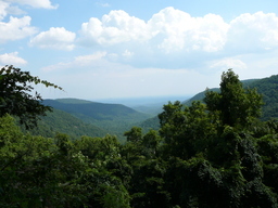 P1000459.JPG