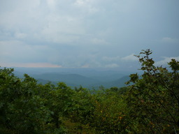 P1000461.JPG