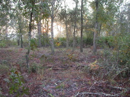 DSCN1804.JPG