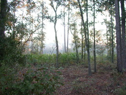 DSCN1805.JPG