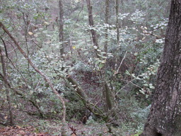 DSCN1816.JPG