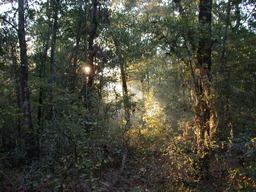 DSCN1822.JPG