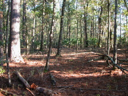 DSCN1836.JPG