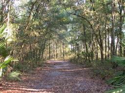 DSCN1841.JPG