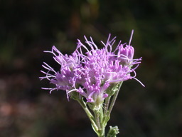 DSCN1858.JPG