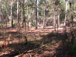 DSCN1870.JPG
