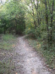 DSCN2906.JPG