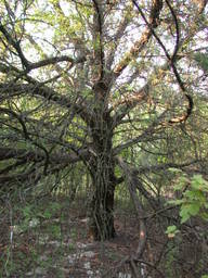 DSCN2909.JPG