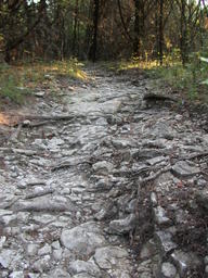 DSCN2913.JPG