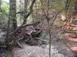 DSCN2914.JPG