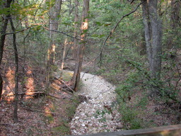 DSCN2918.JPG