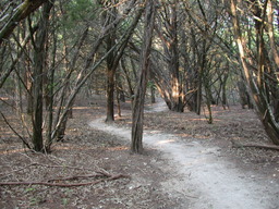DSCN2926.JPG
