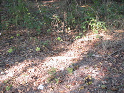 DSCN2935.JPG