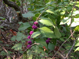DSCN2936.JPG