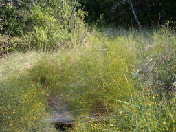 DSCN2939.JPG