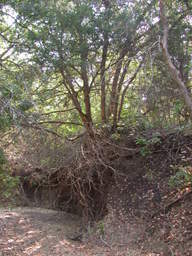 DSCN2943.JPG