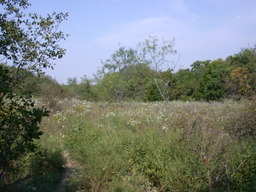 DSCN2944.JPG