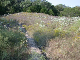 DSCN2945.JPG