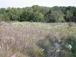 DSCN2948.JPG