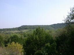 DSCN2951.JPG