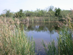 DSCN2954.JPG