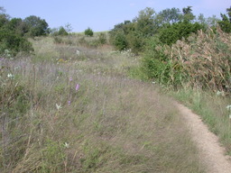 DSCN2956.JPG
