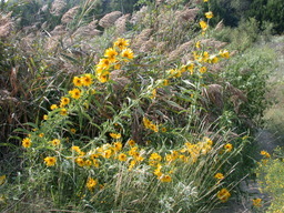 DSCN2957.JPG