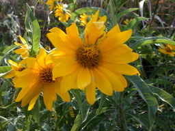 DSCN2959.JPG