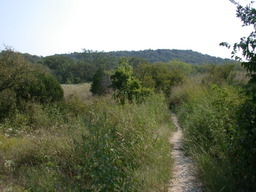 DSCN2963.JPG