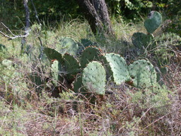DSCN2974.JPG